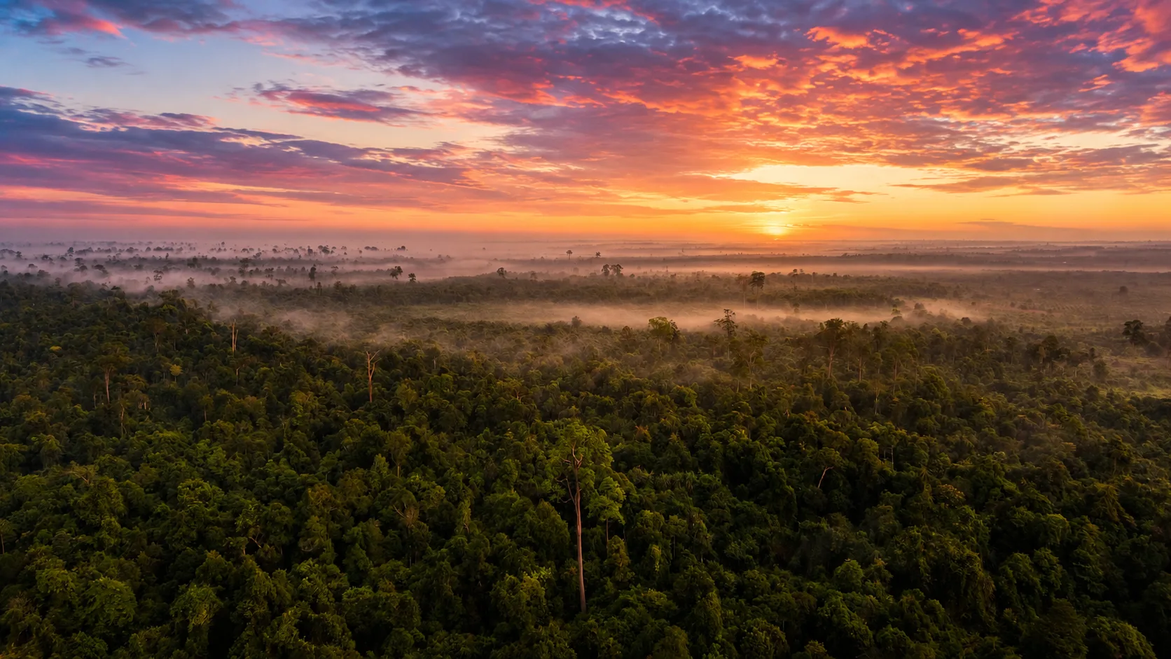 Peatland Conservation Project