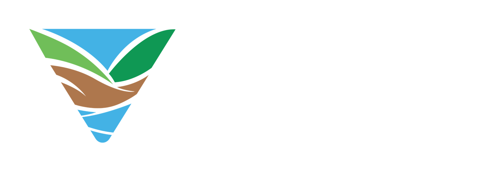 VCarboN
